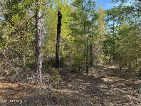 Keystone Heights Land For Sale