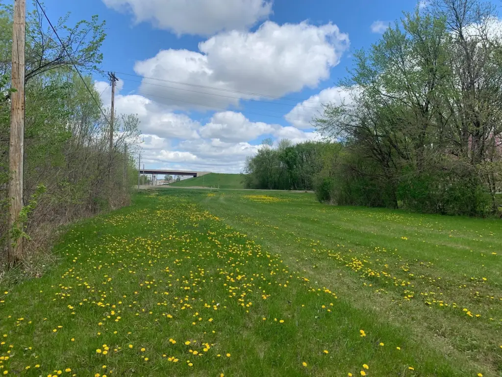 Picture 2