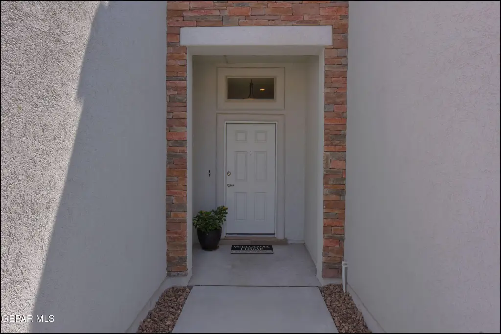 Picture 8