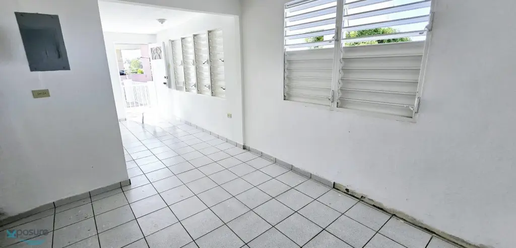 Picture 15