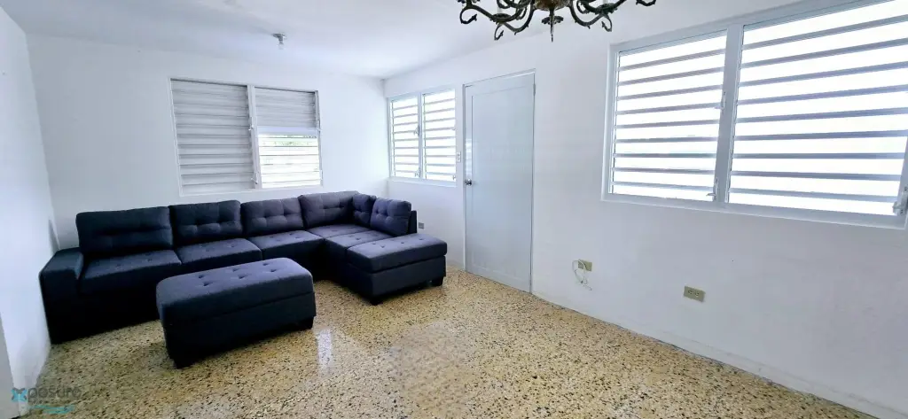 Picture 16