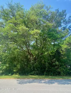 Residential Lot in Riverview