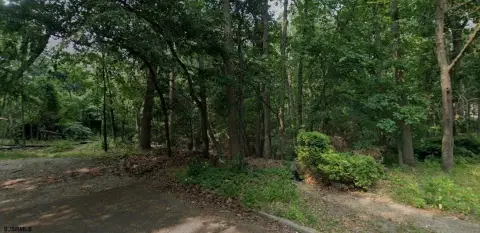 Wooded Lot in Pine Hill