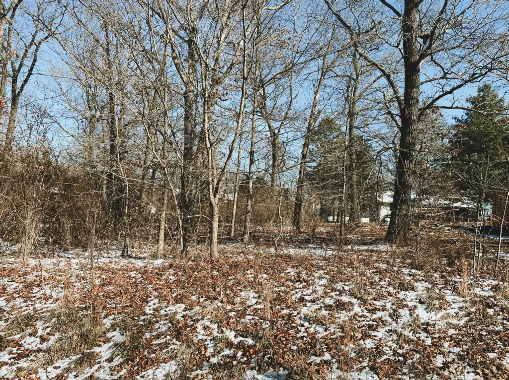 Picture 2