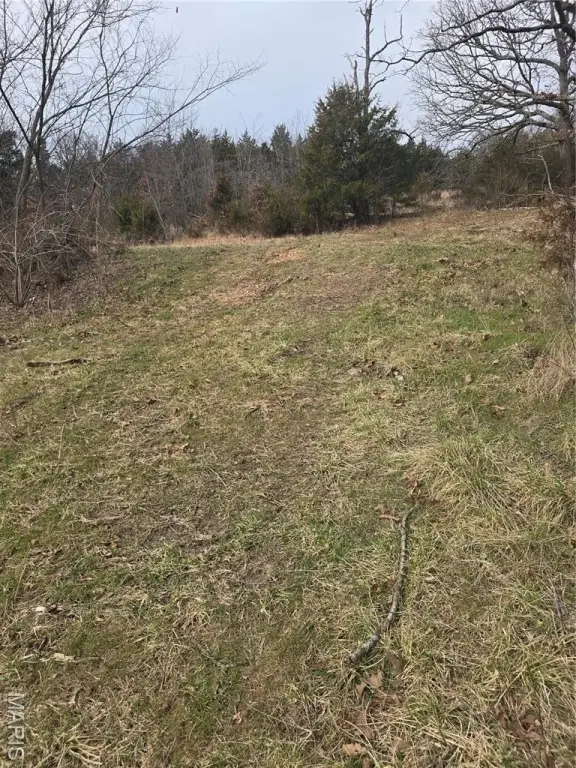 Picture 6