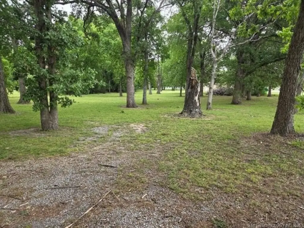 Picture 2