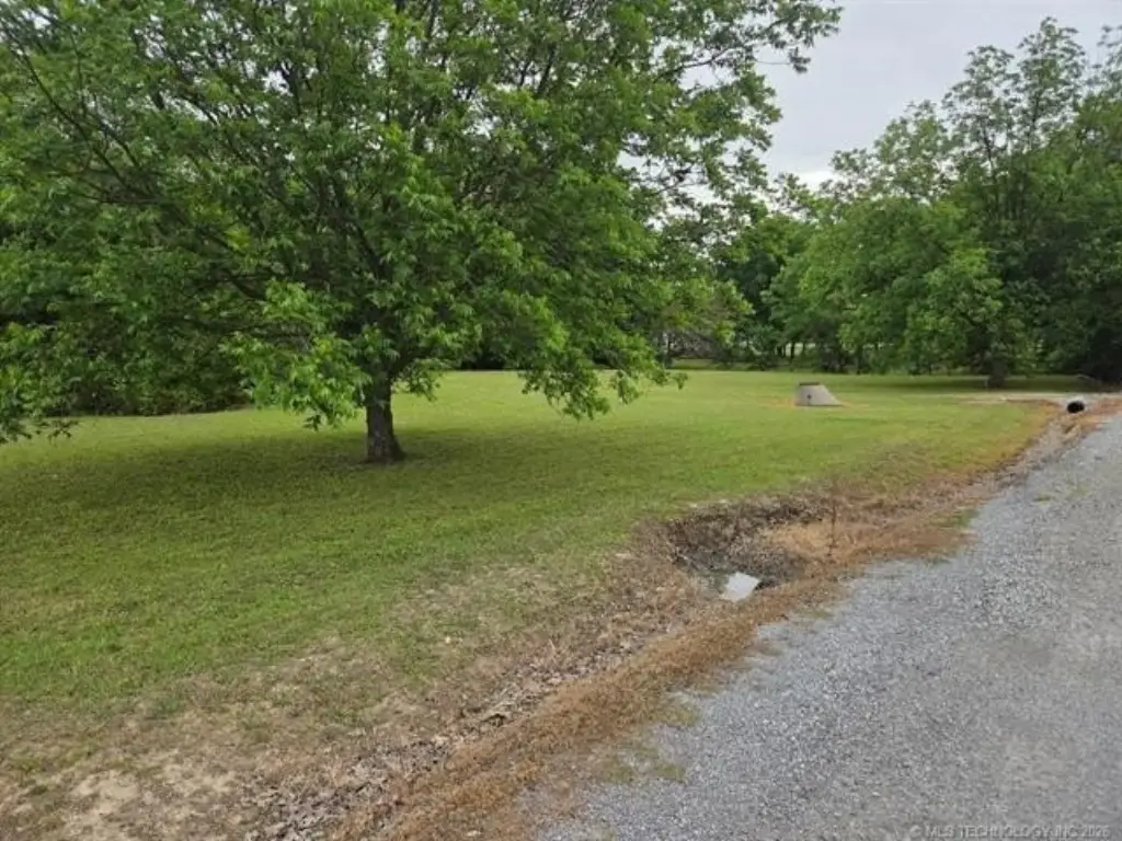 Picture 15
