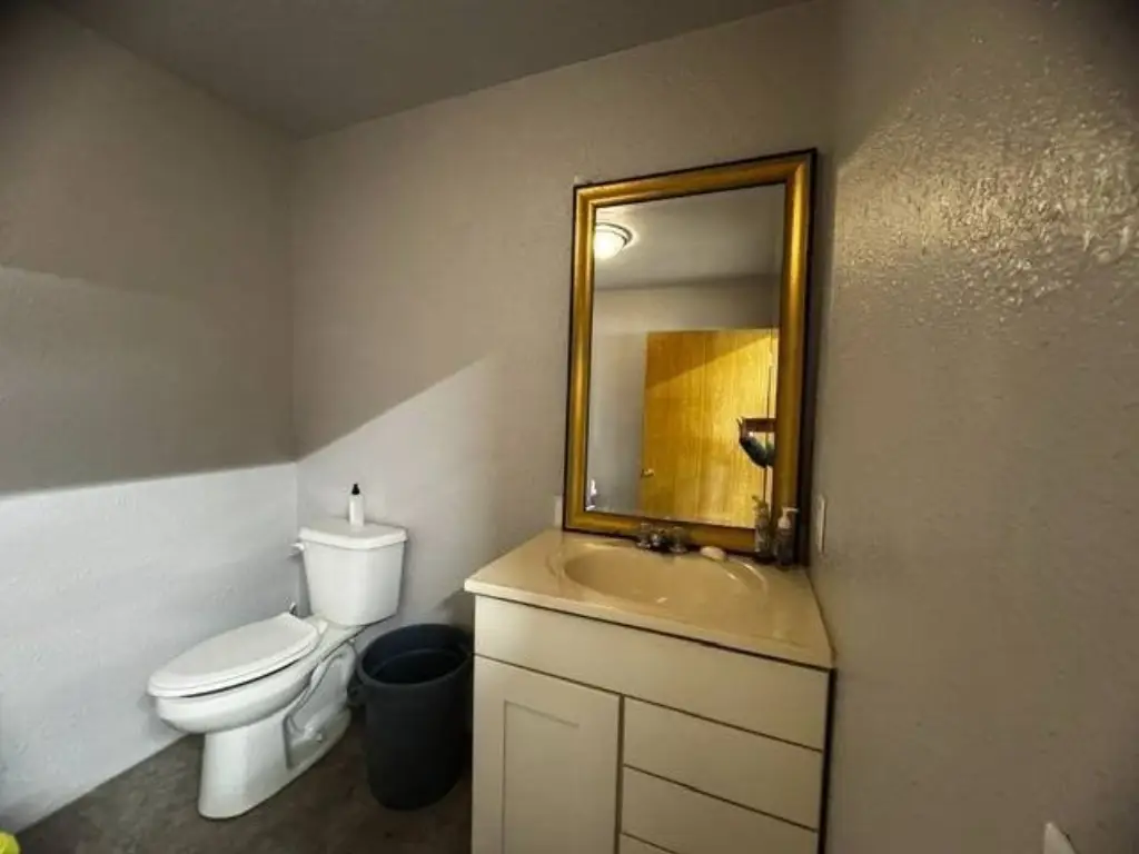 Picture 37