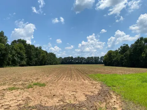 Agricultural Land with Crop Fields