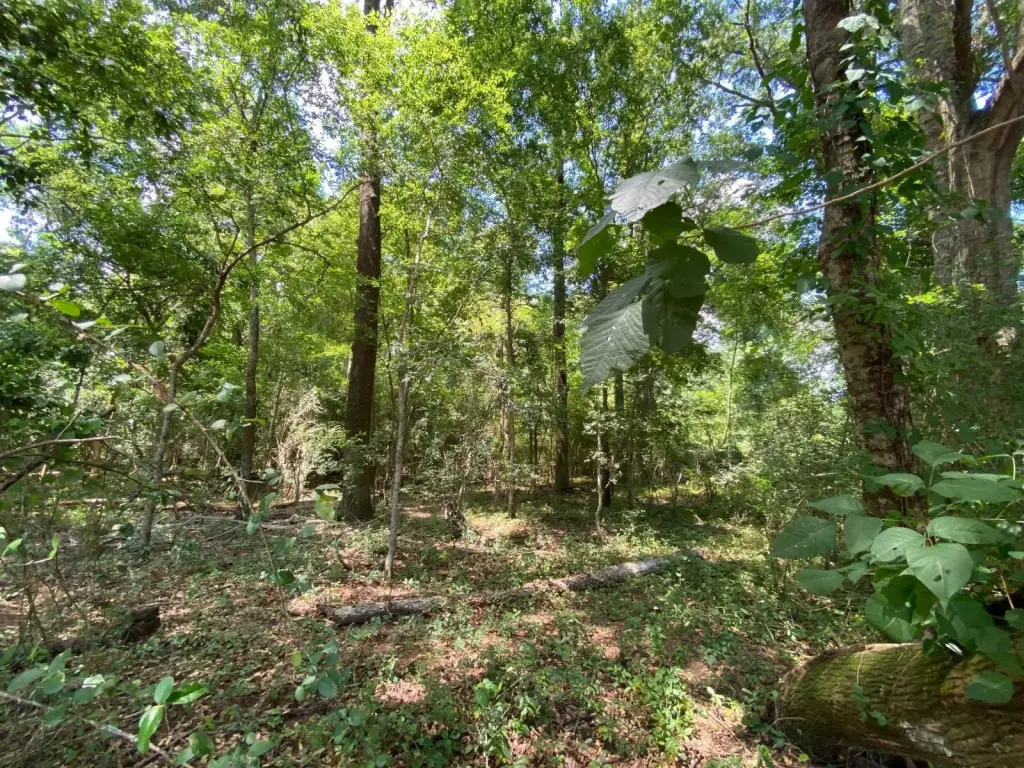 Picture 24