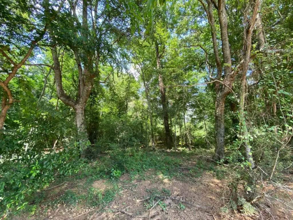 Picture 27