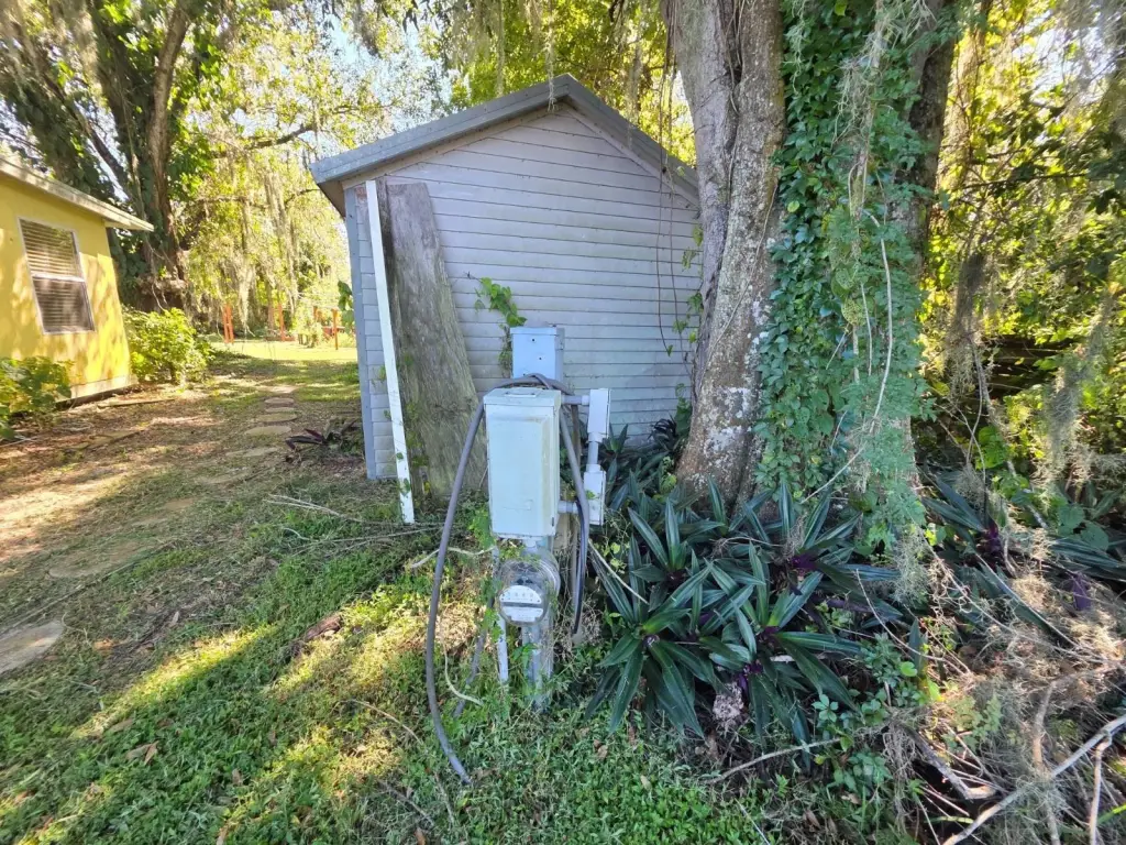 Picture 49