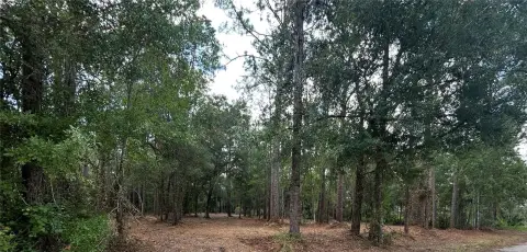 Agricultural Residential Vacant Land