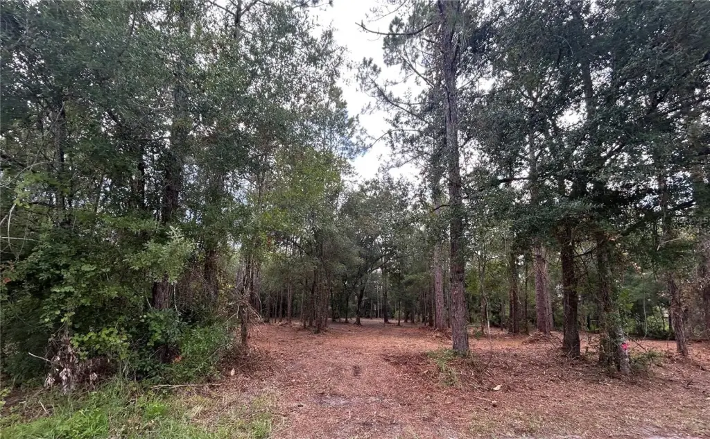 Picture 2