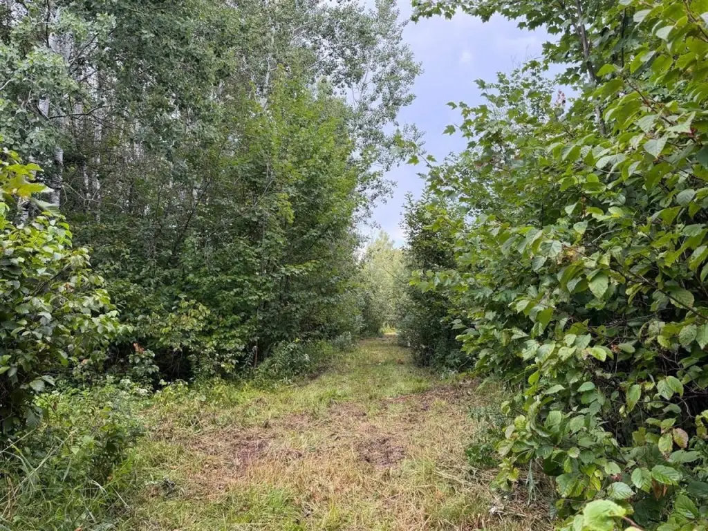 Picture 20
