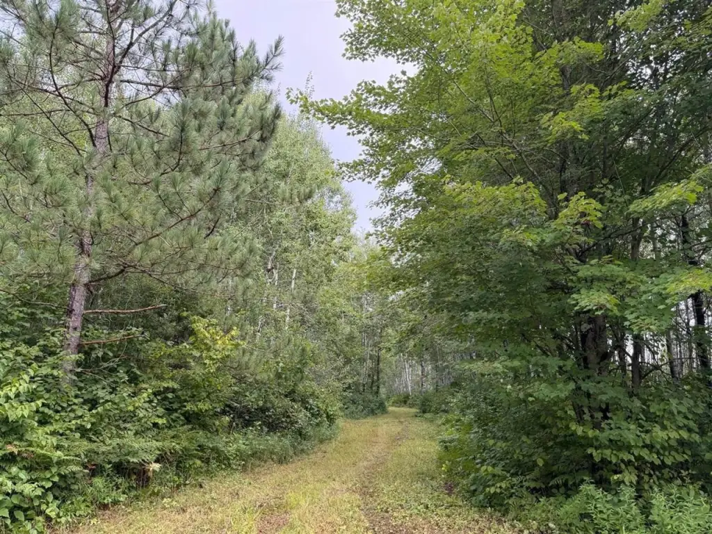 Picture 23
