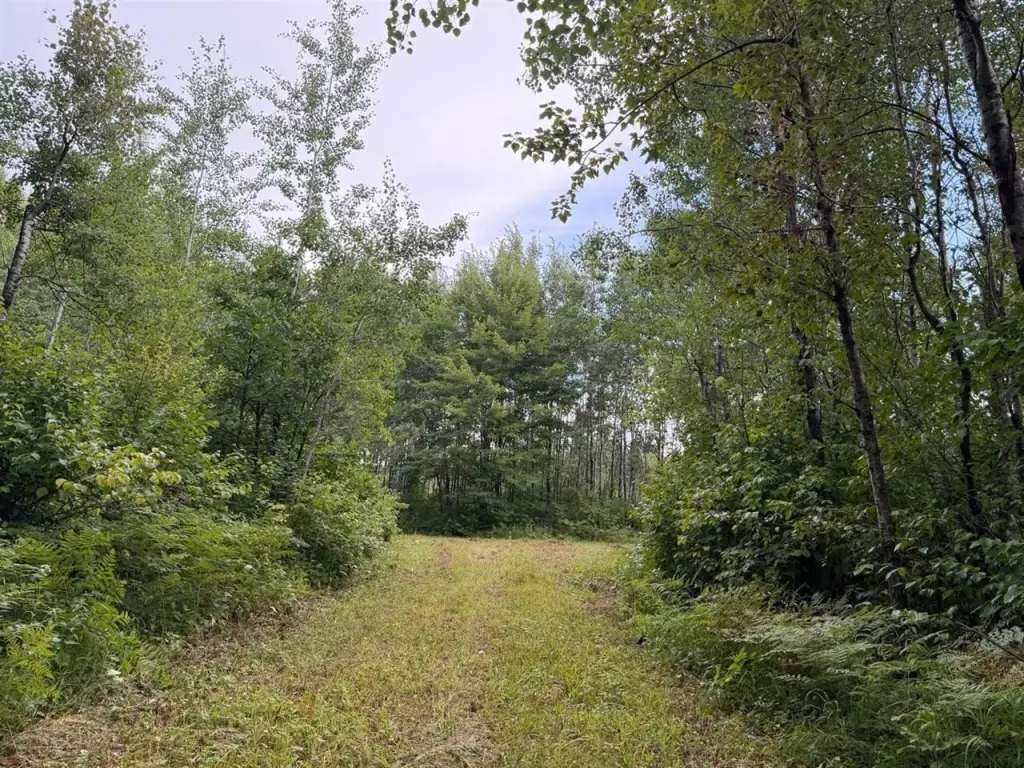 Picture 24