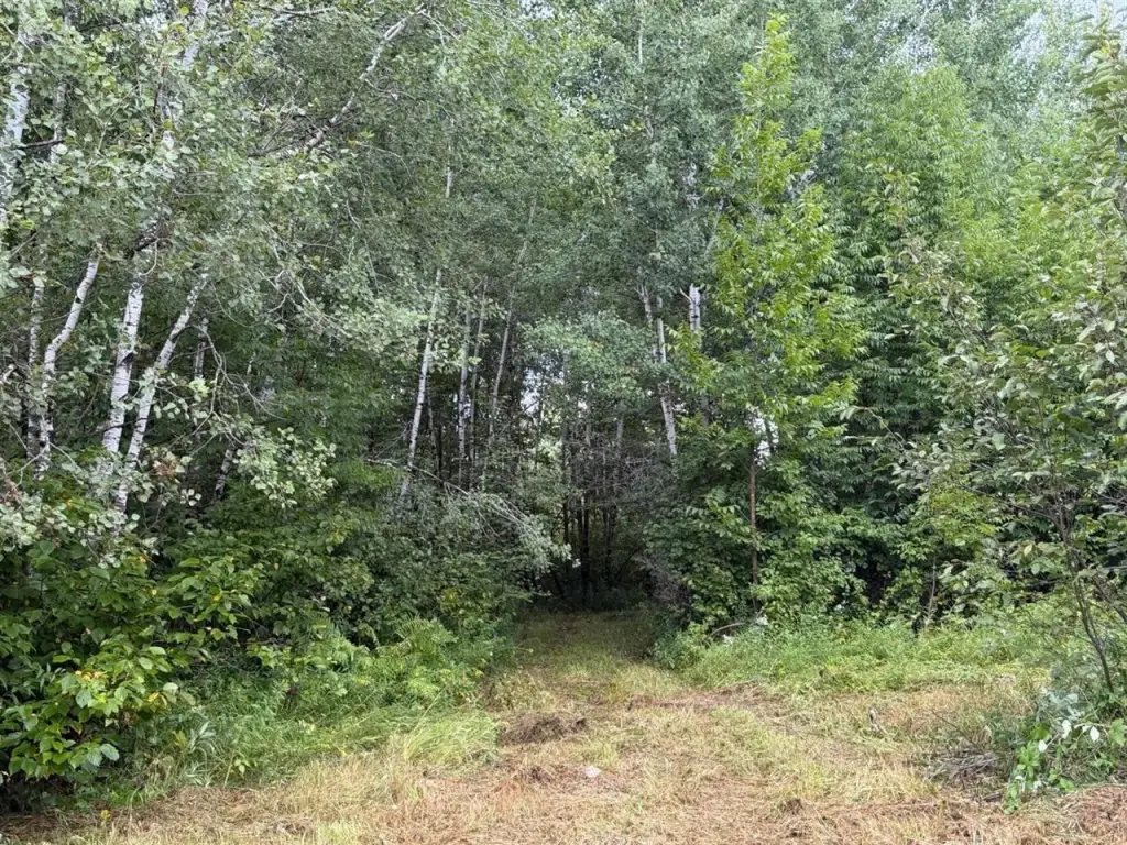 Picture 28