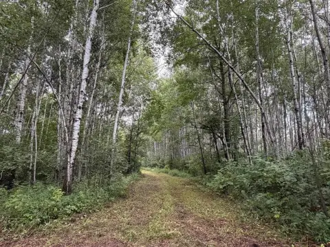 Northwoods Hunting Land