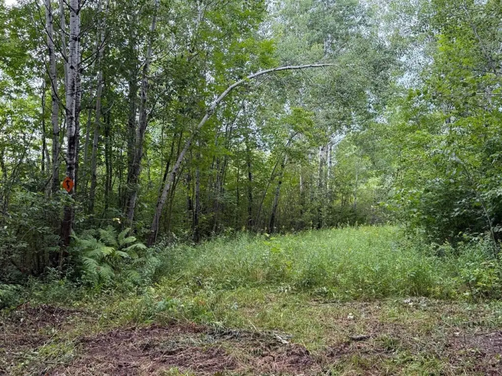 Picture 21