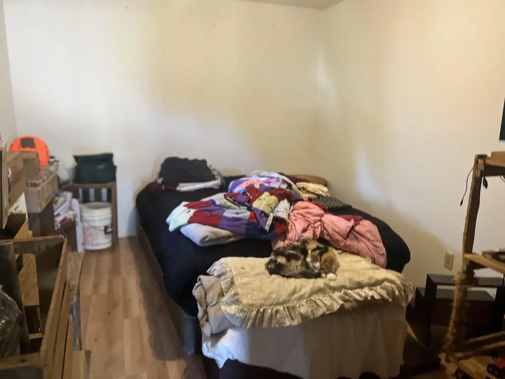 Picture 6