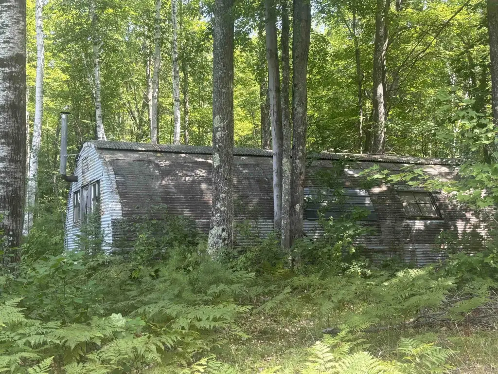 Picture 21