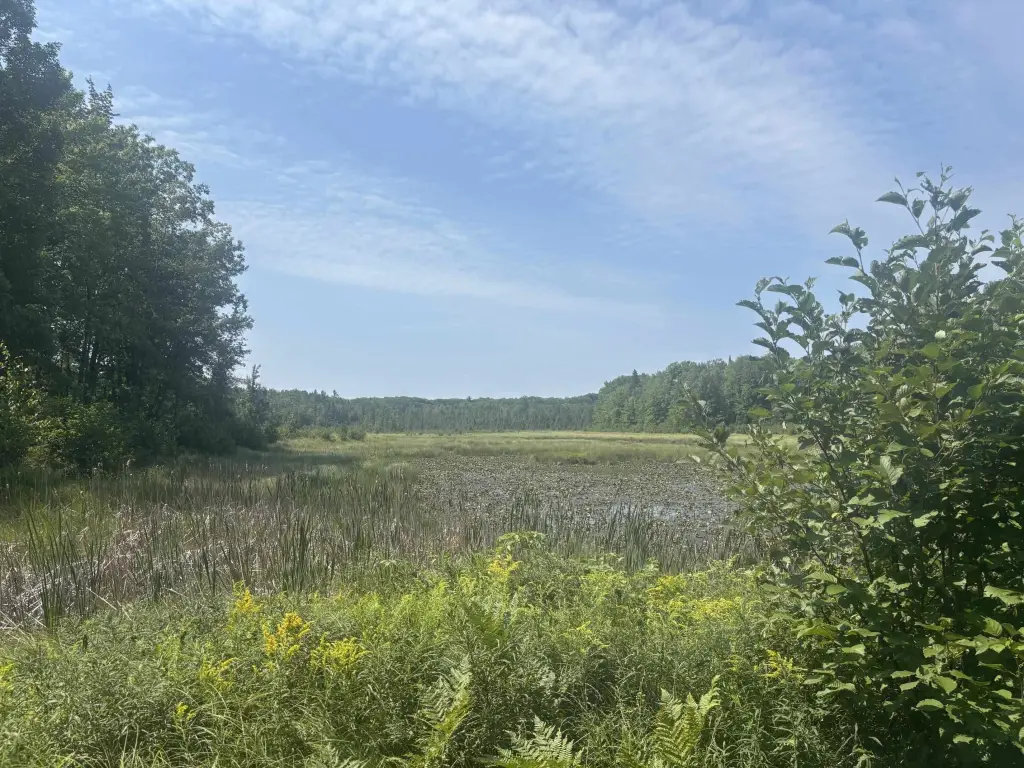 Picture 20