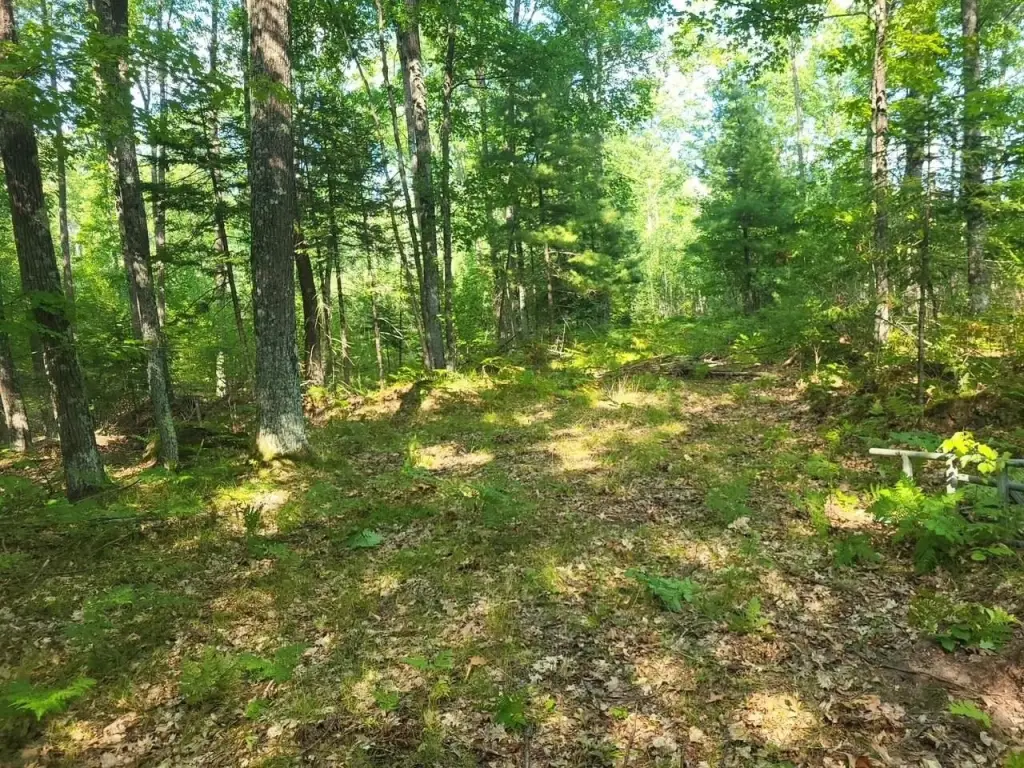 Picture 31