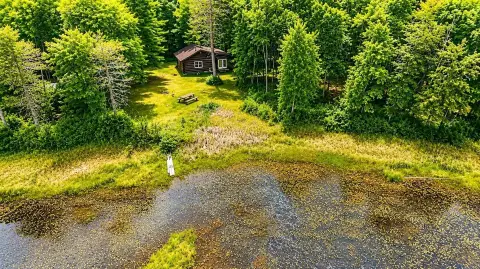Hunting Land with Log Cabin