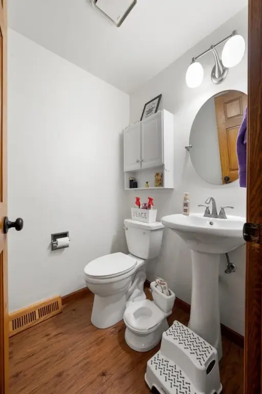 Picture 29