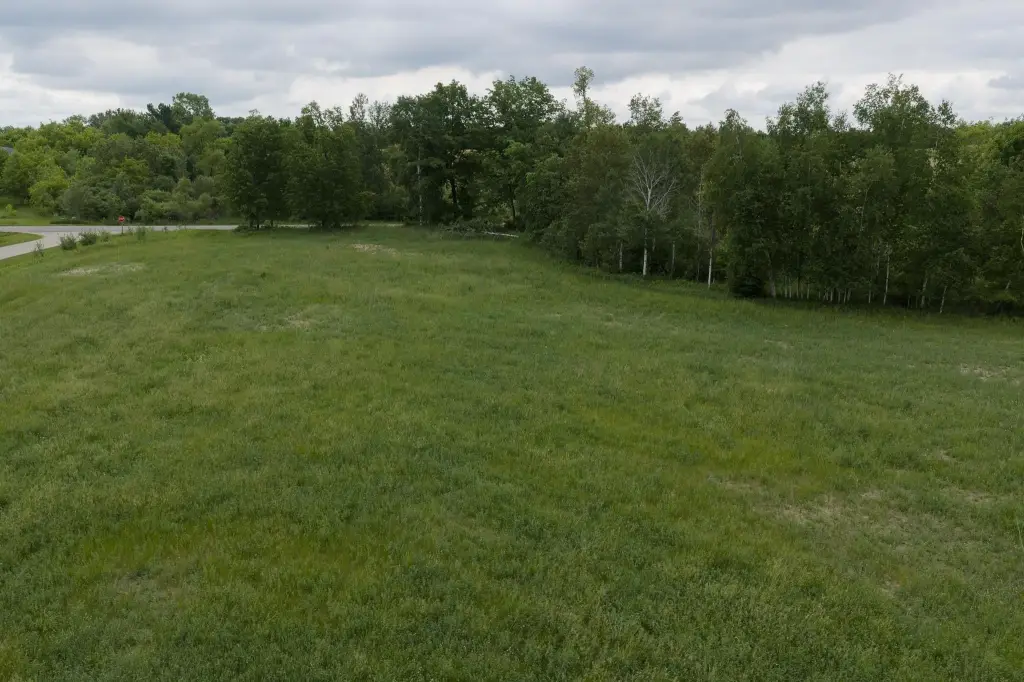 Picture 23
