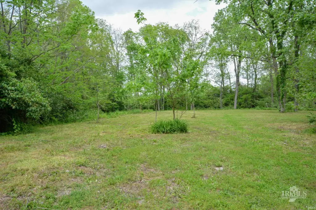 Picture 21