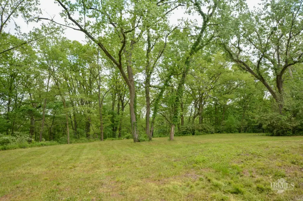 Picture 24