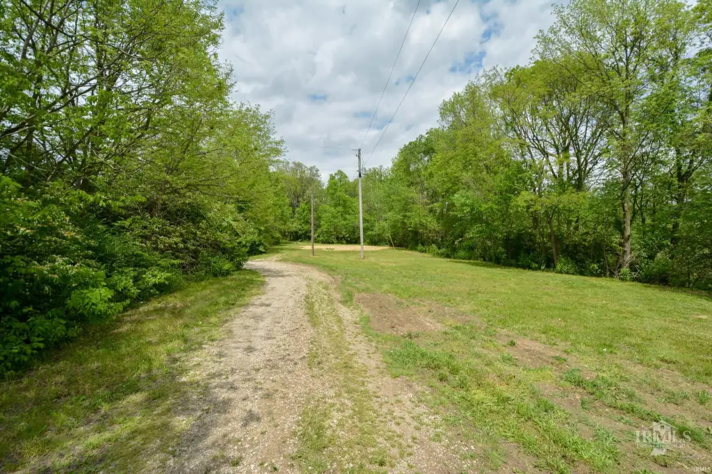 Picture 31