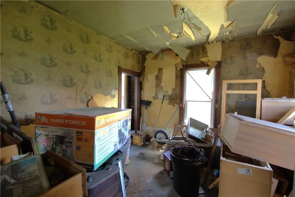 Picture 21