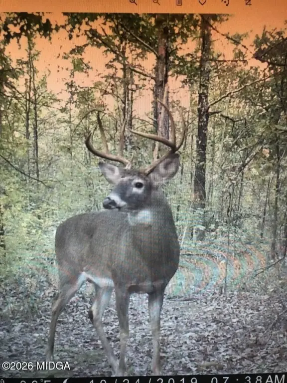 Picture 21