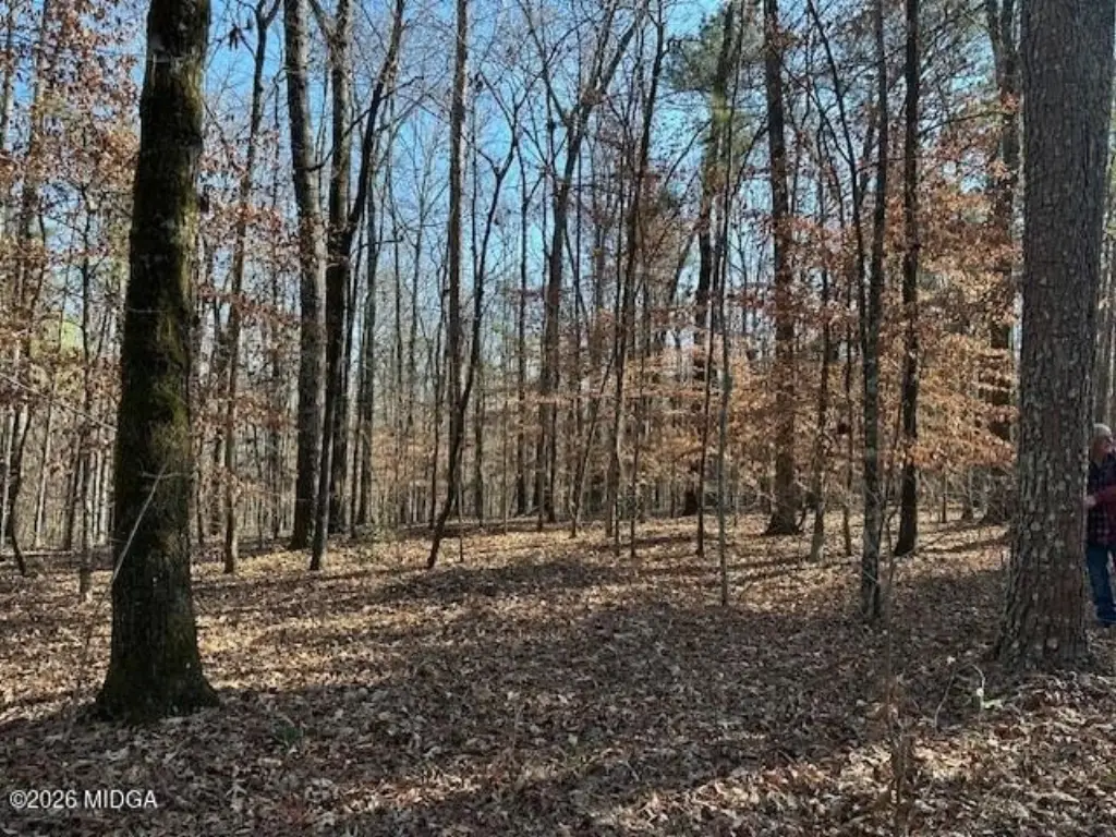 Picture 15