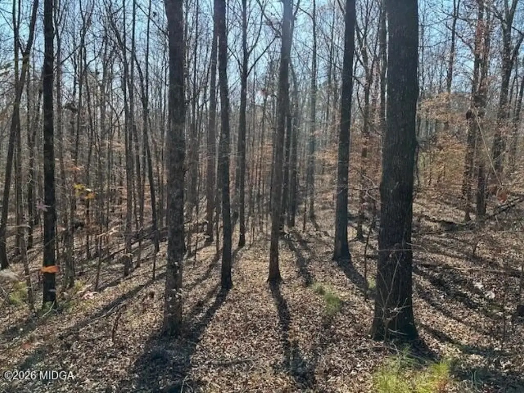 Picture 11