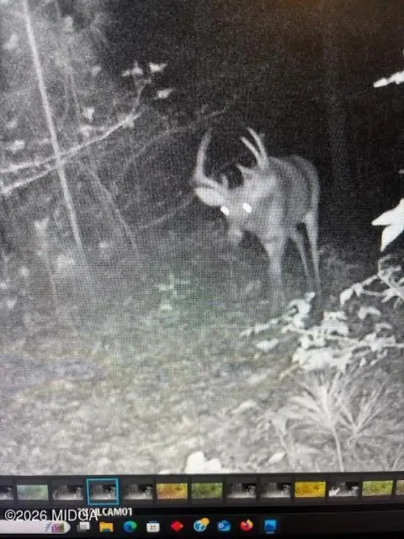 Picture 25