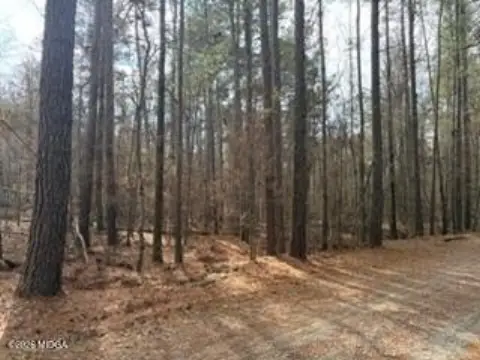 Two Acre Wooded Residential Lot
