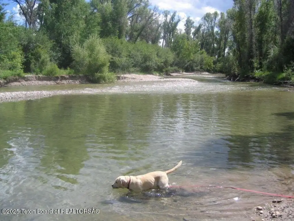 Picture 9