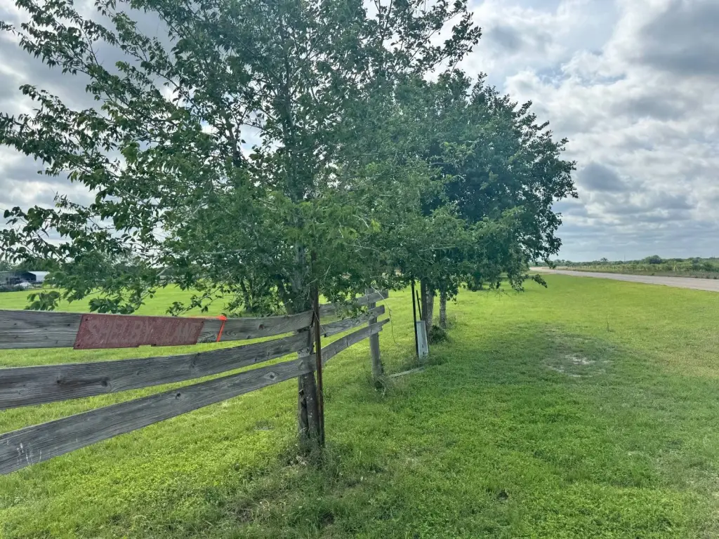 Picture 31