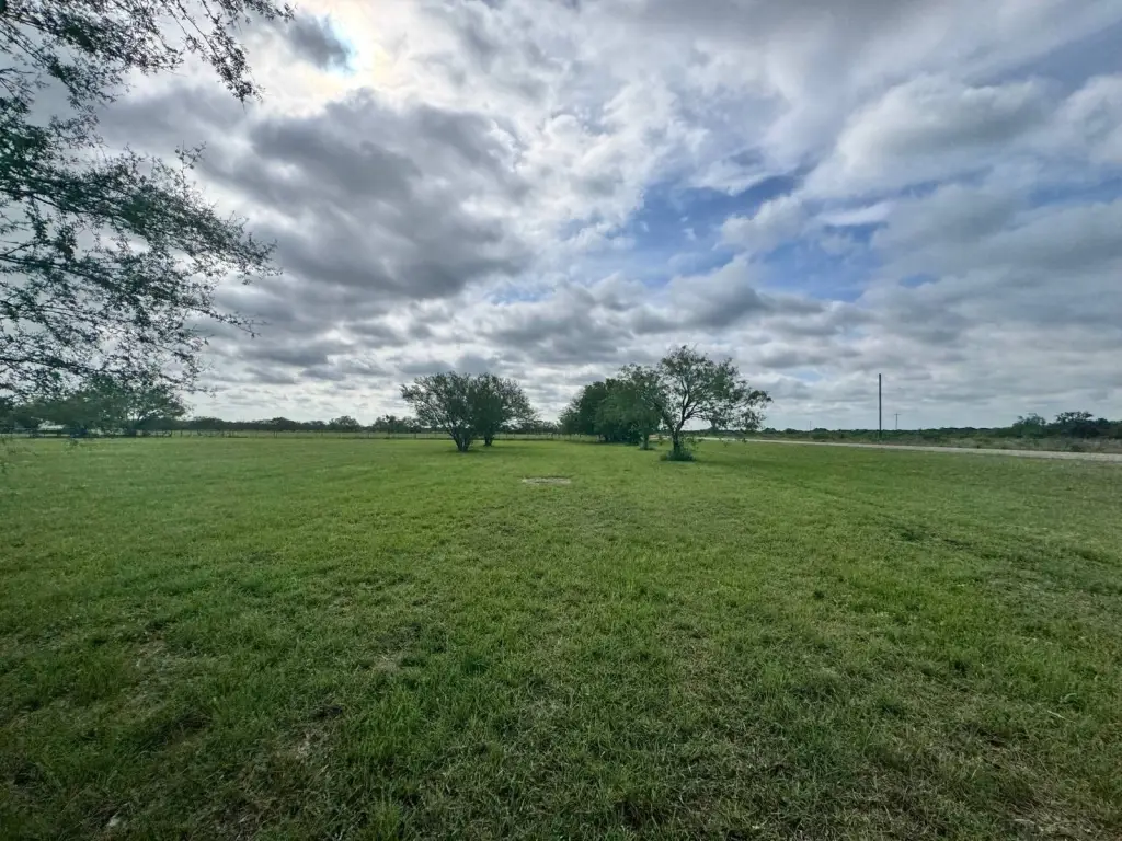 Picture 28