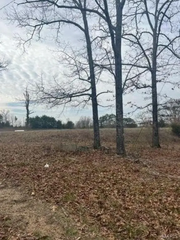 Picture 11