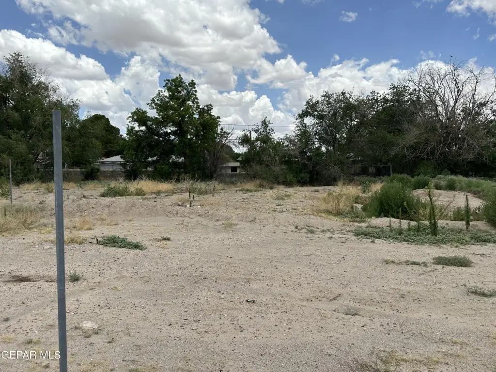 Picture 17