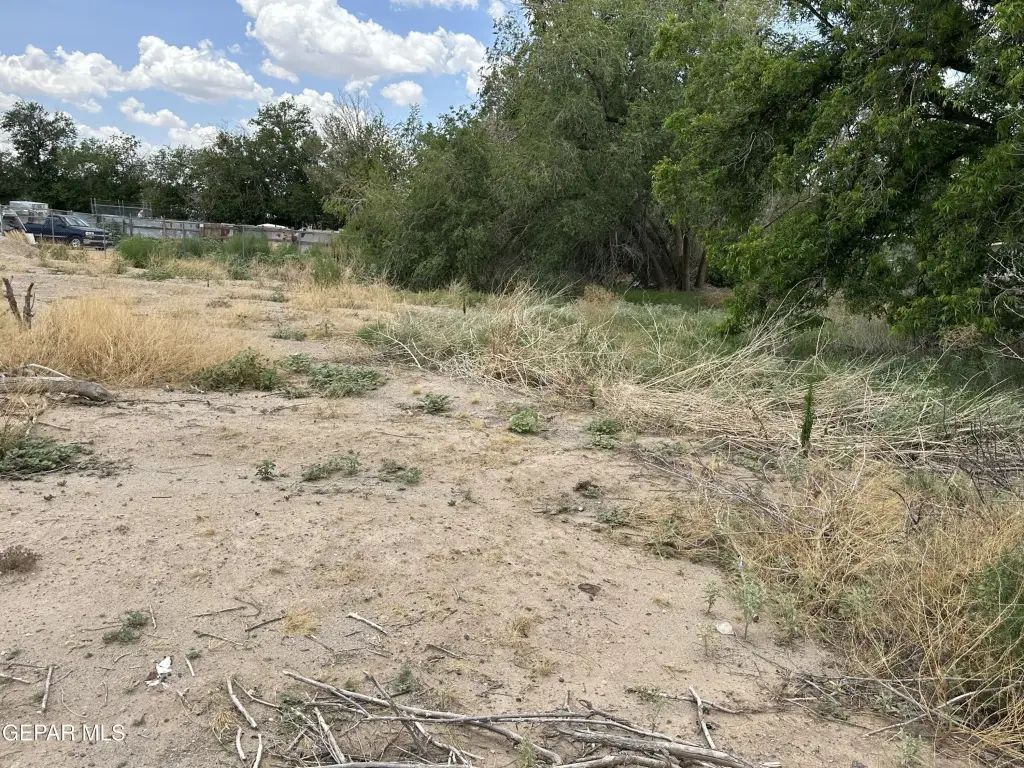 Picture 21