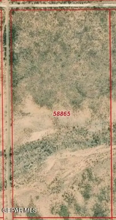 Picture 2