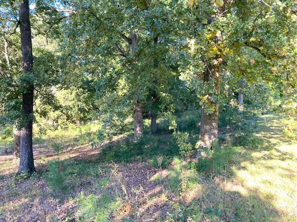Picture 11