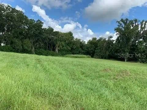 Lake Jovita Gated Community Land