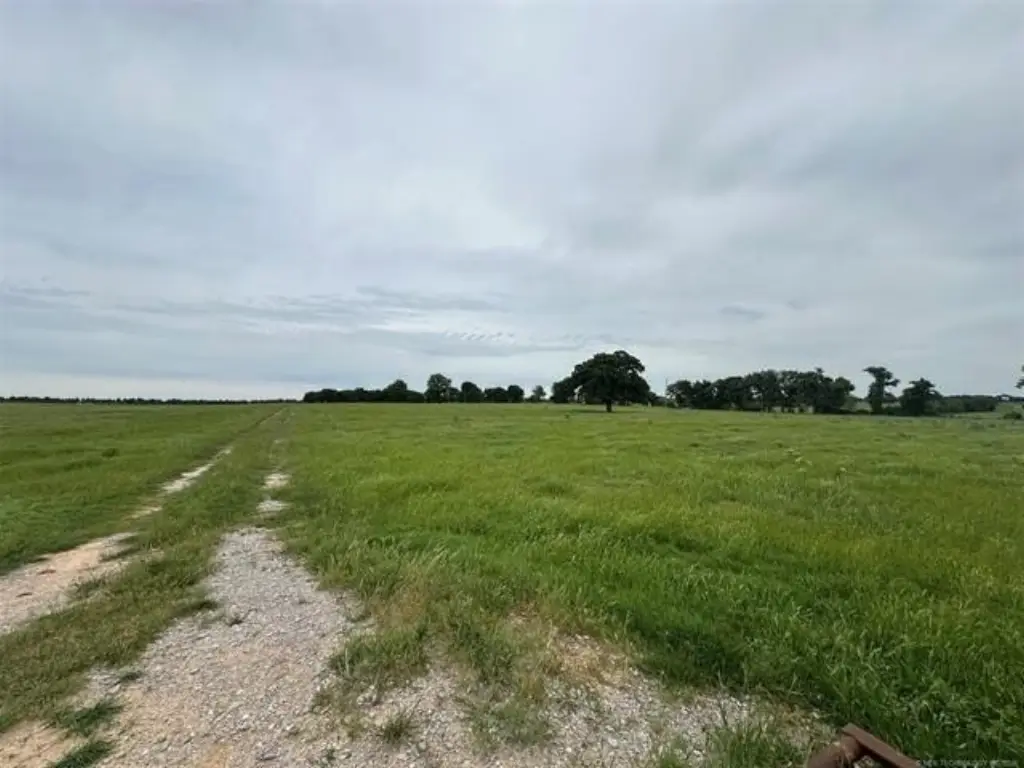 Picture 15